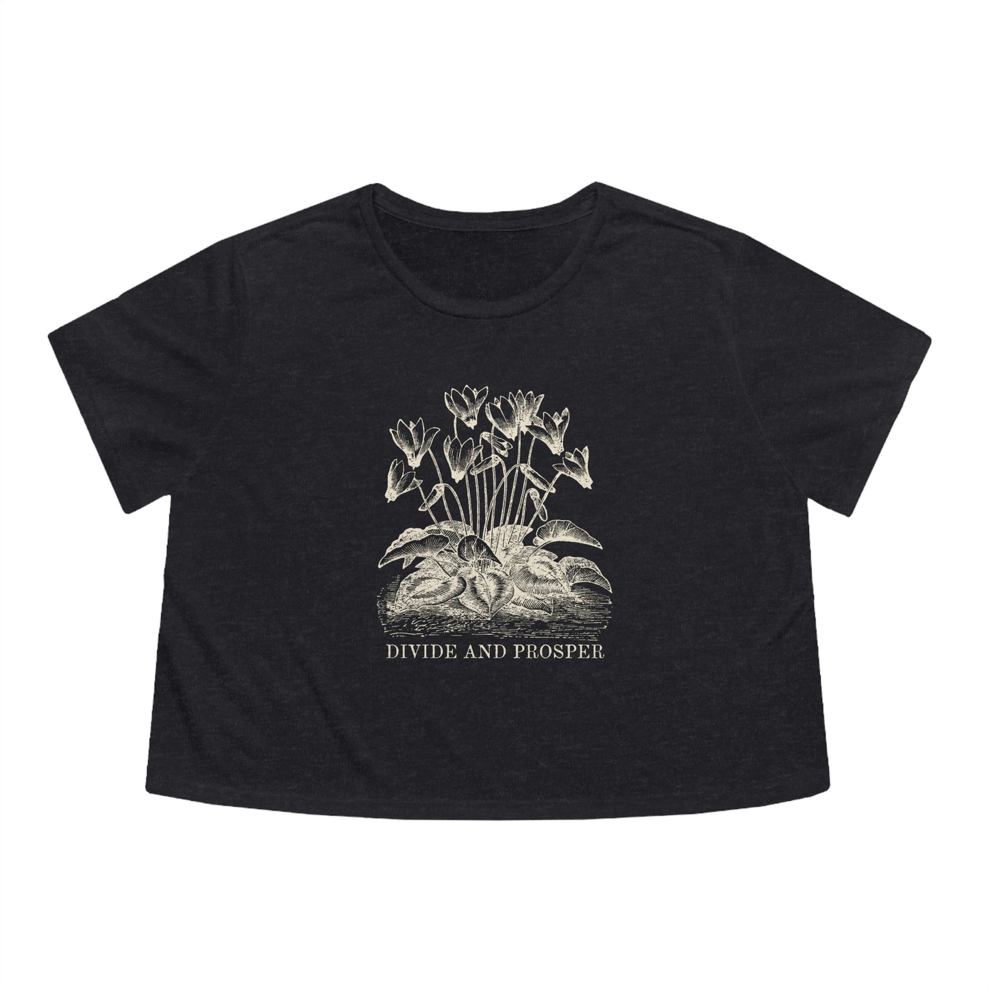DIVIDE AND PROSPER- Women's Flowy Cropped Tee