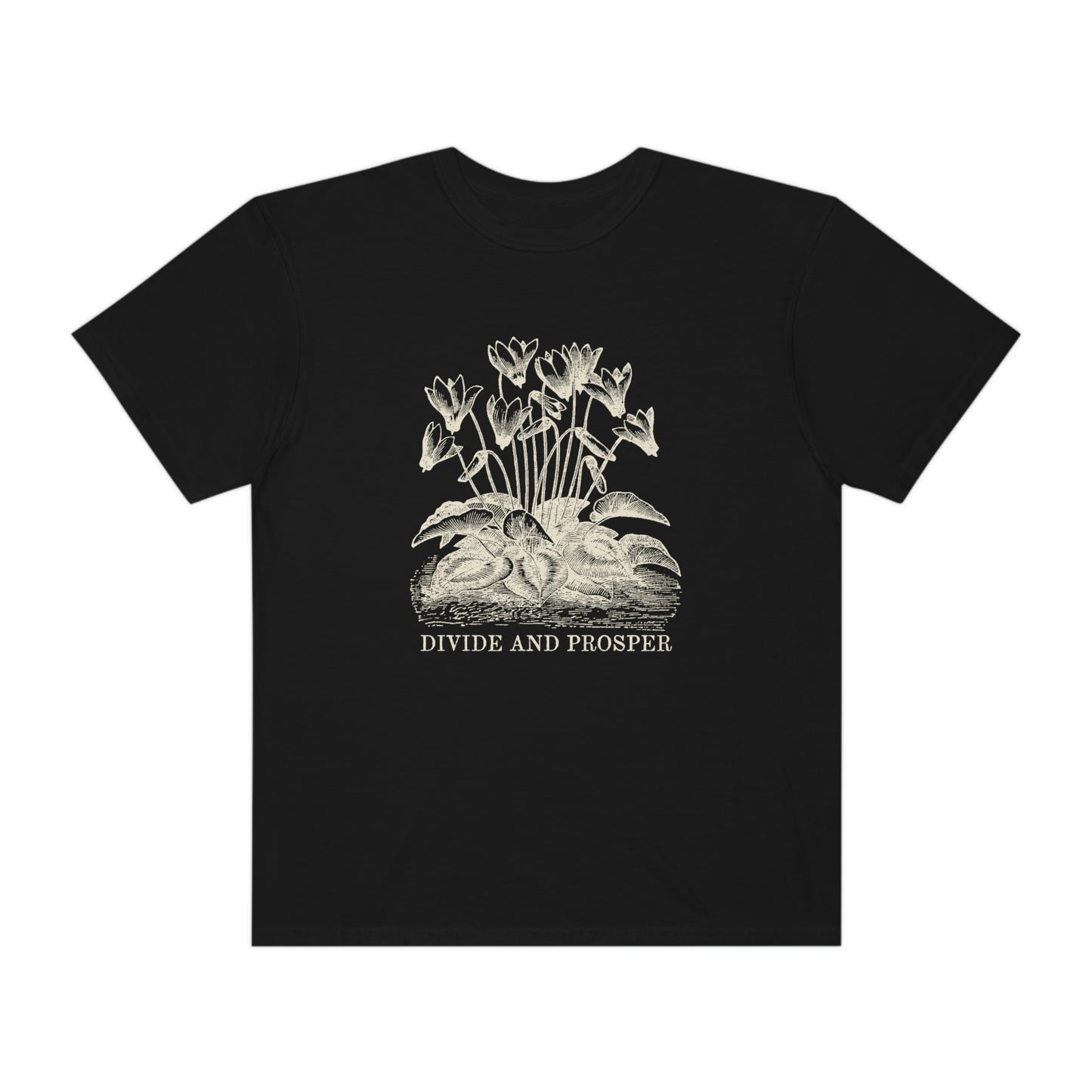 DIVIDE AND PROSPER- Unisex Garment-Dyed Heavy Weight T-shirt