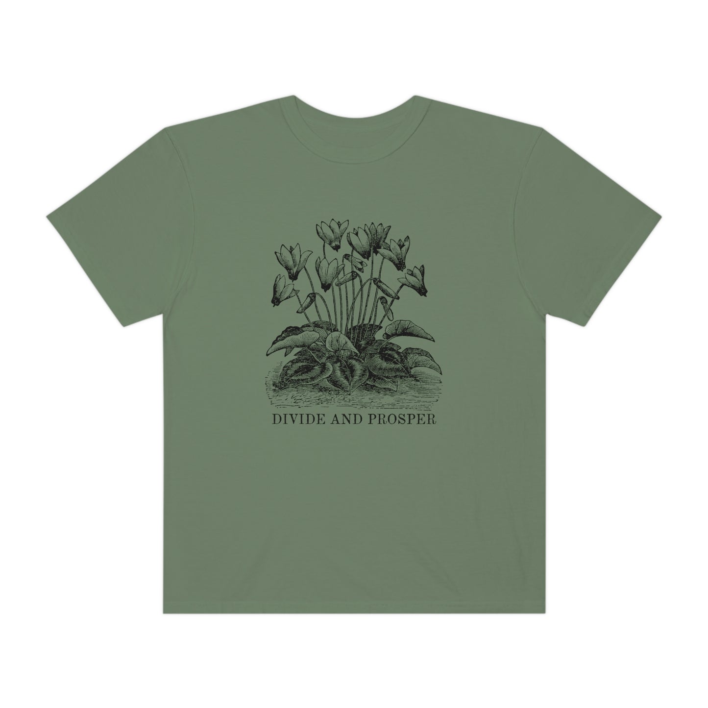 DIVIDE AND PROSPER- Unisex Garment-Dyed Heavy Weight T-shirt