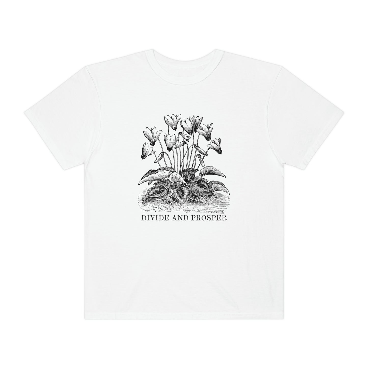 DIVIDE AND PROSPER- Unisex Garment-Dyed Heavy Weight T-shirt