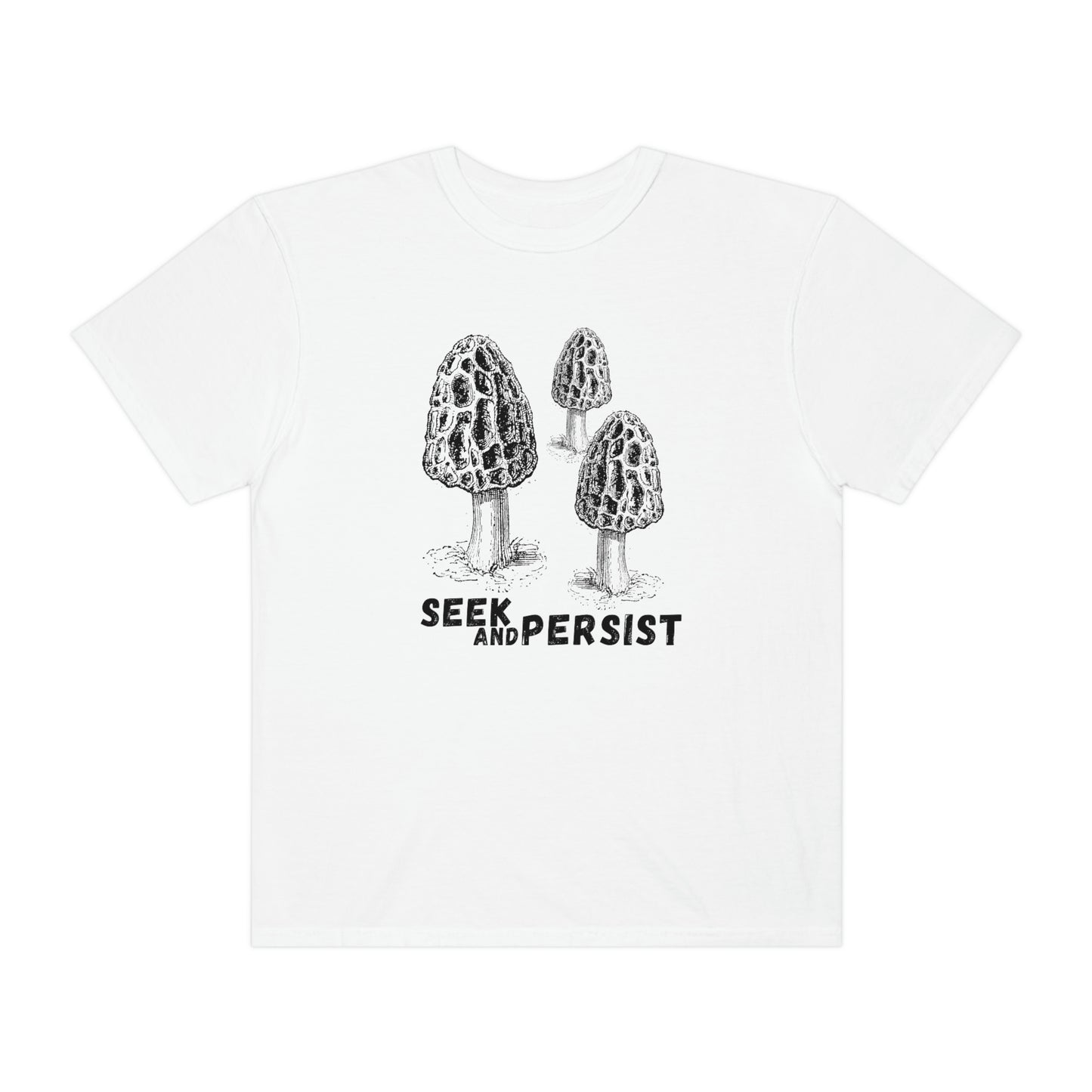 SEEK AND PERSIST-Unisex Garment-Dyed T-shirt