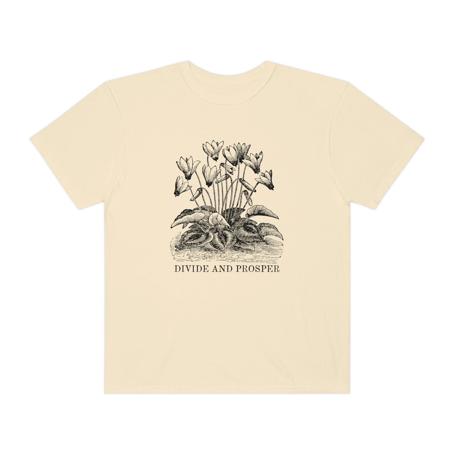 DIVIDE AND PROSPER- Unisex Garment-Dyed Heavy Weight T-shirt