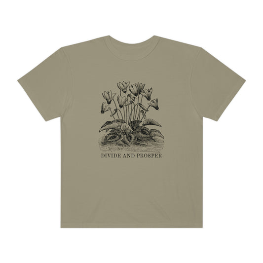DIVIDE AND PROSPER- Unisex Garment-Dyed Heavy Weight T-shirt