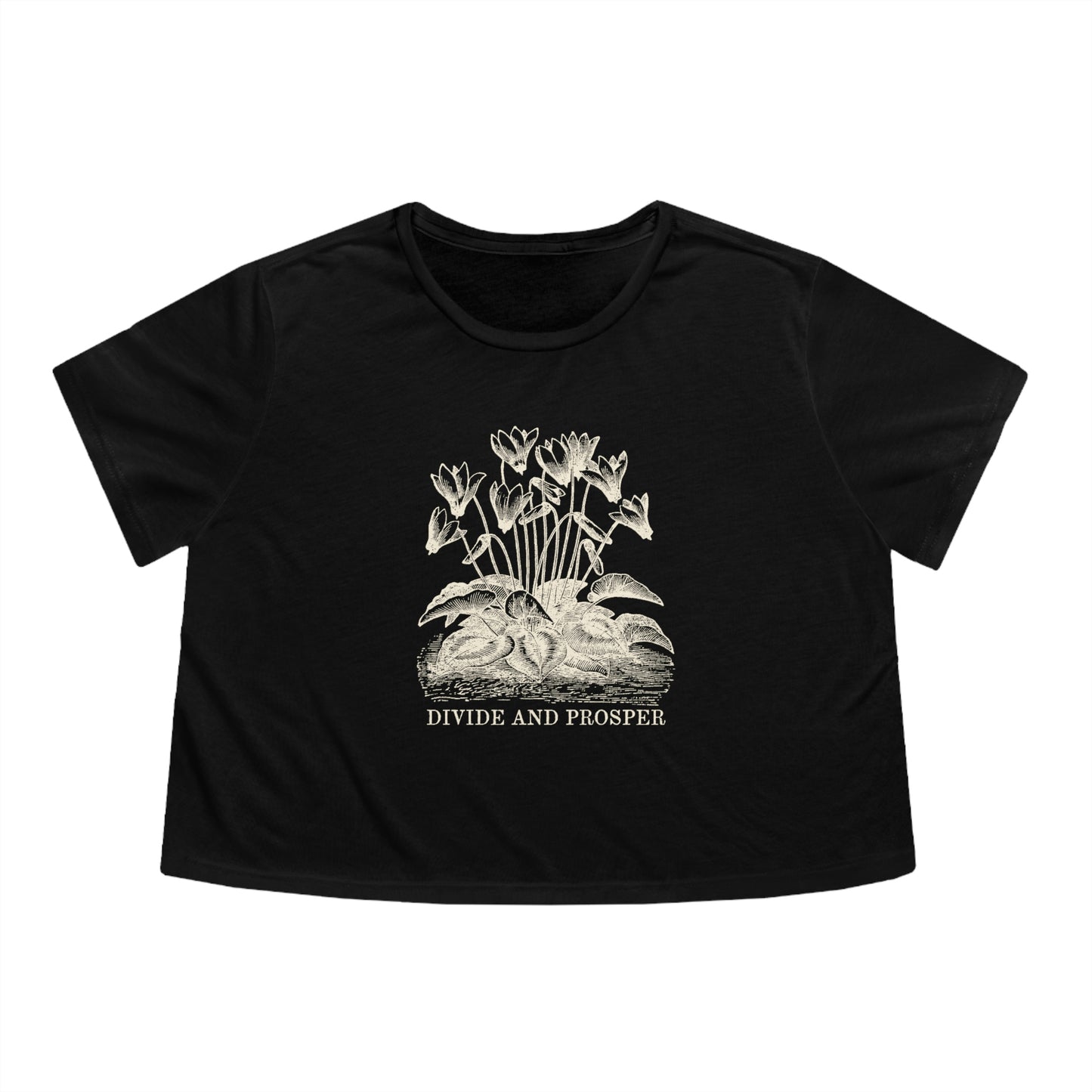 DIVIDE AND PROSPER- Women's Flowy Cropped Tee