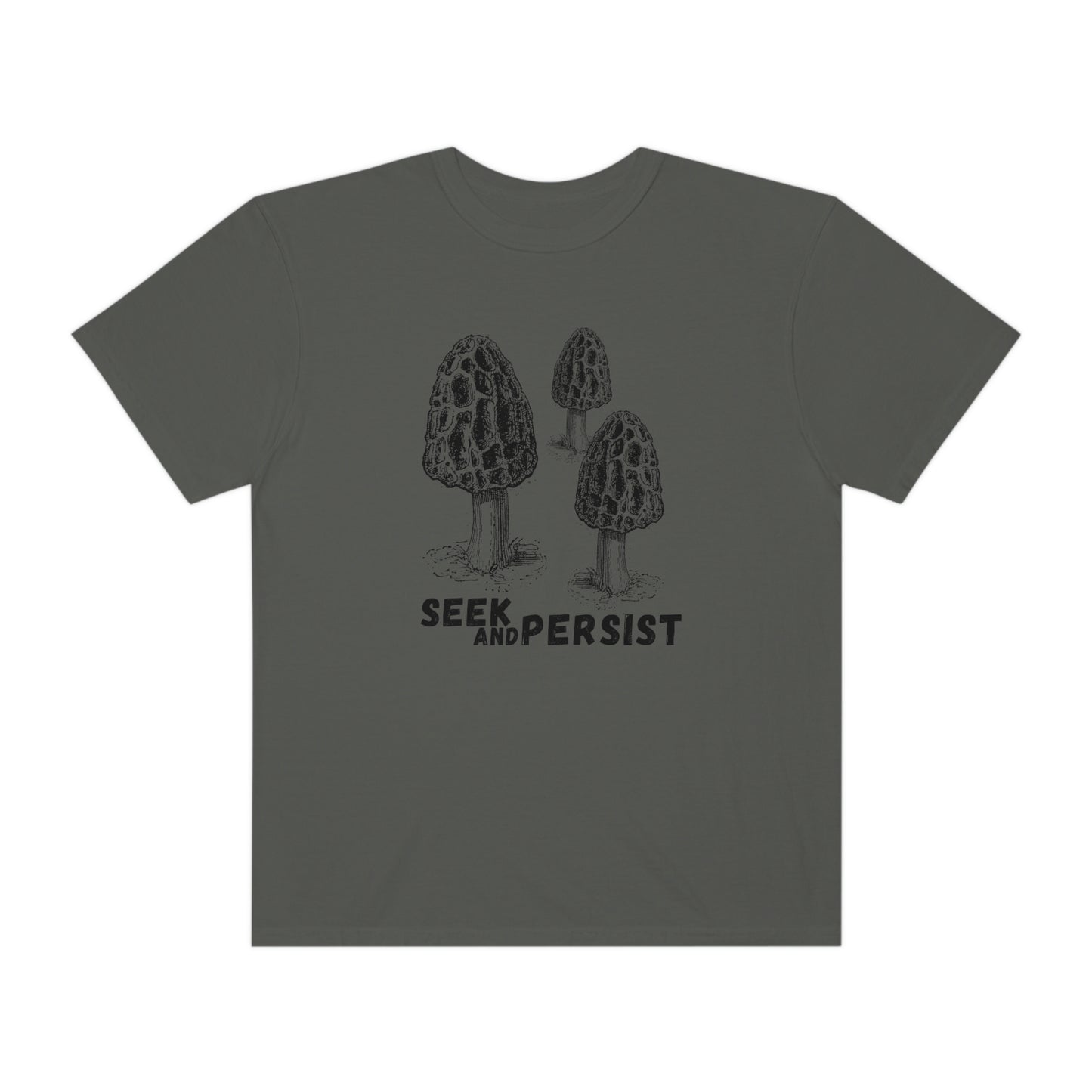 SEEK AND PERSIST-Unisex Garment-Dyed T-shirt